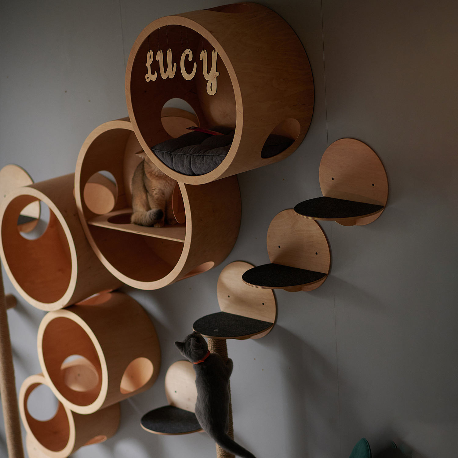 Cat Wall Furniture and Perches 